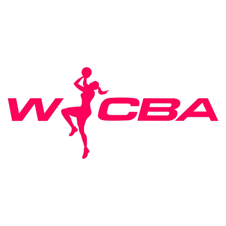 《WCBA 江西赣星vs天津冠岚20250102》全集高清完整版在线观看与剧情解析