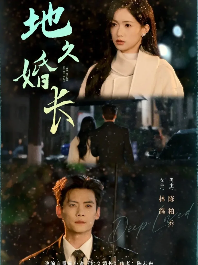 《地久婚长》全集高清完整版在线观看与剧情解析