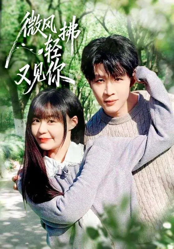 《微风轻拂又见你》全集高清完整版在线观看与剧情解析