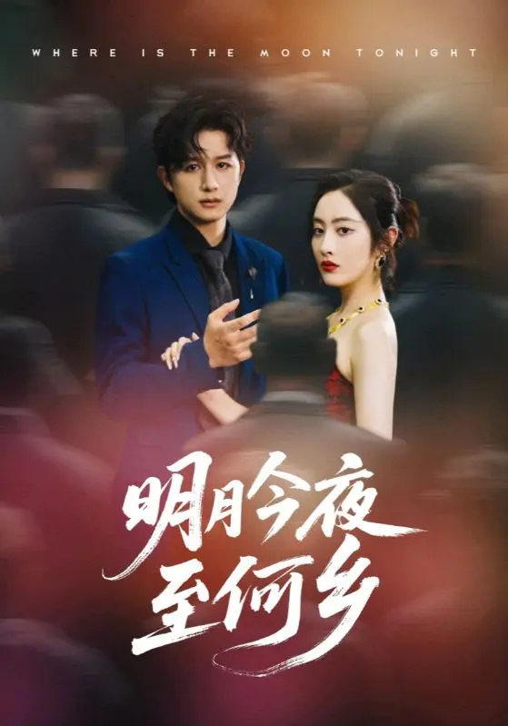 《明月今夜至何乡》全集高清完整版在线观看与剧情解析