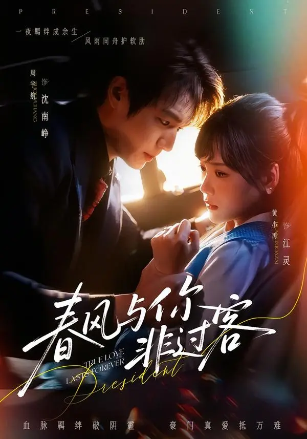 《春风与你非过客》全集高清完整版在线观看与剧情解析