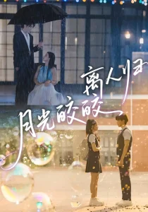 月光皎皎离人归