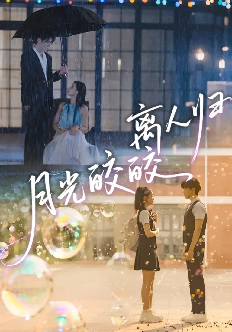 《月光皎皎离人归》全集高清完整版在线观看与剧情解析