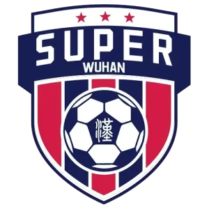 武汉城市足球超级联赛第5轮 蔡甸区2.1江夏区20250912