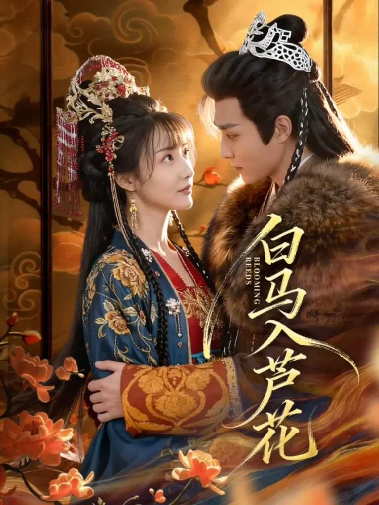 《白马入芦花》全集高清完整版在线观看与剧情解析