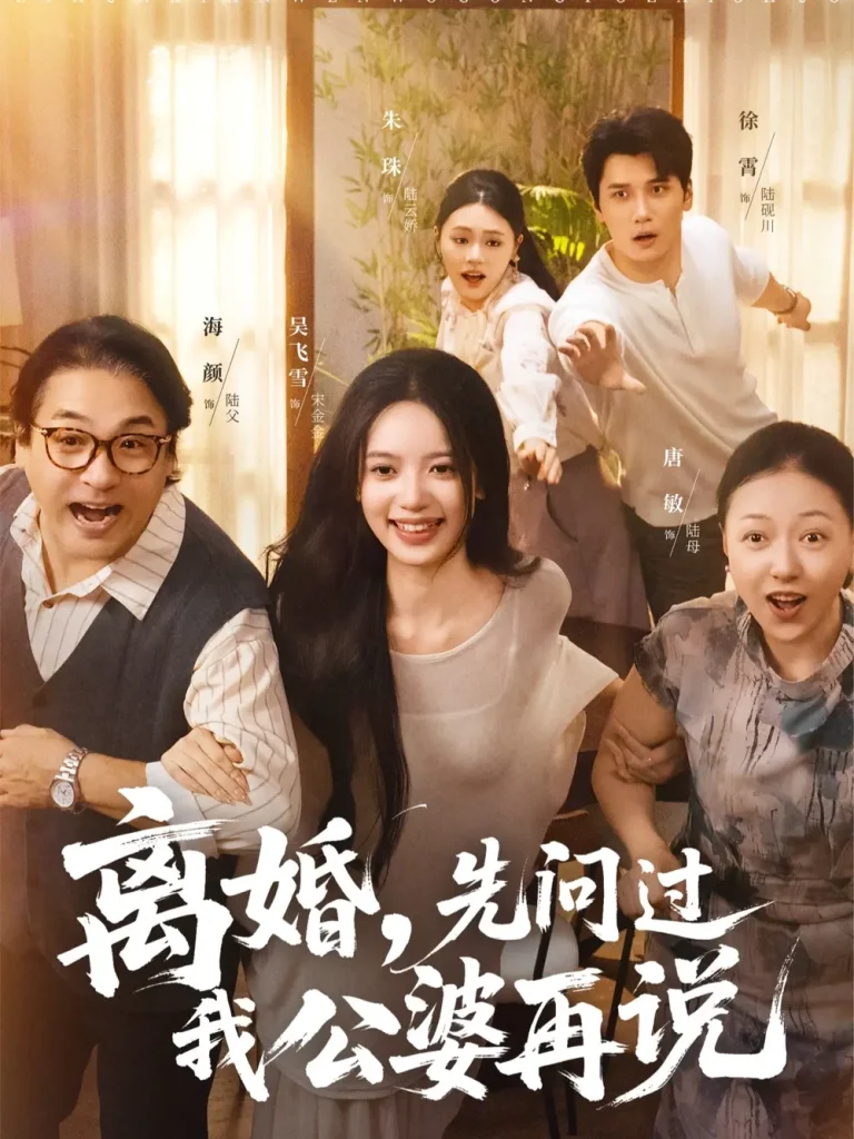 《离婚先问过我公婆再说》全集高清完整版在线观看与剧情解析