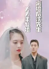 《离婚后沈先生天天求复婚》全集高清完整版在线观看与剧情解析