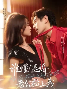 谁懂！退婚老公黏上我