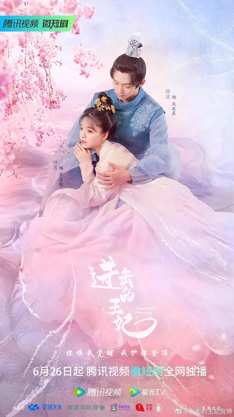 《进击的王妃》全集高清完整版在线观看与剧情解析