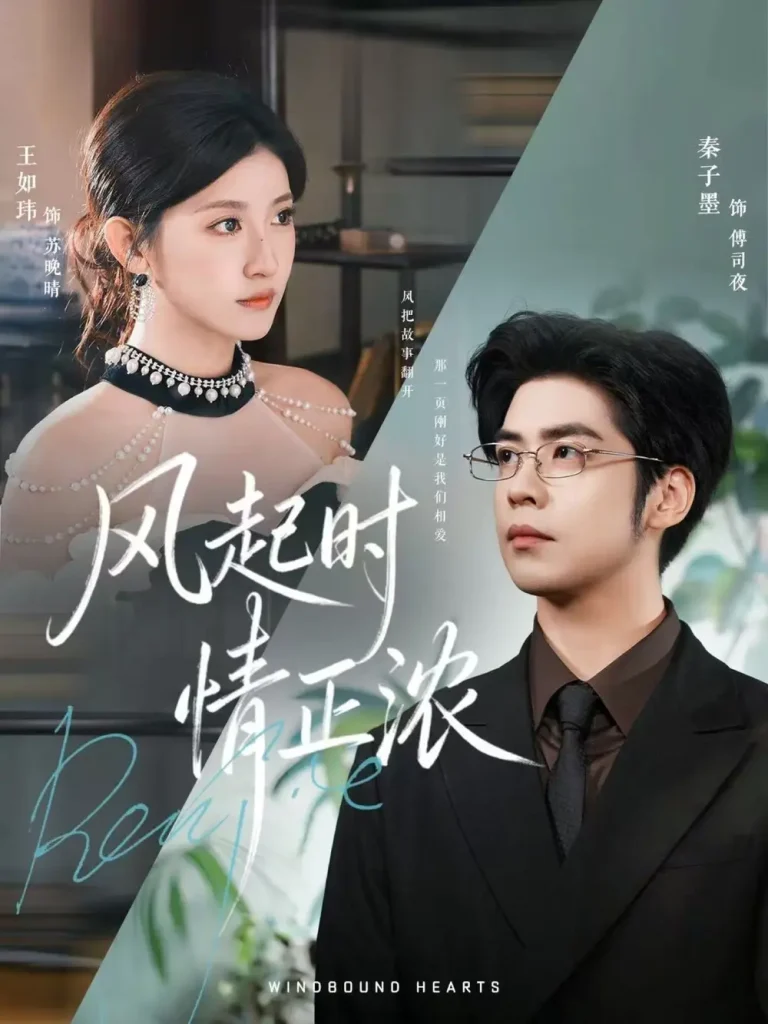 《风起时情正浓》全集高清完整版在线观看与剧情解析